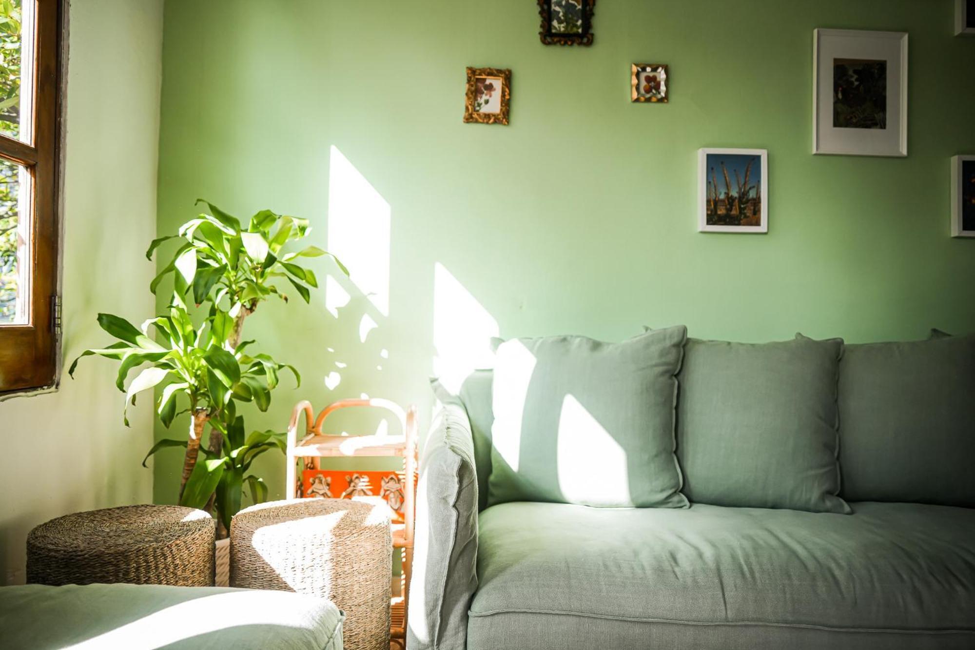 Boho Oasis By The Apartamento *